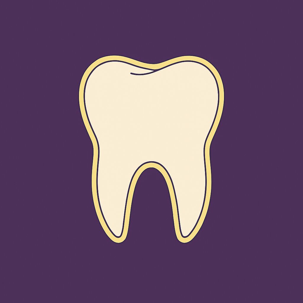 Illustrasjon av tann